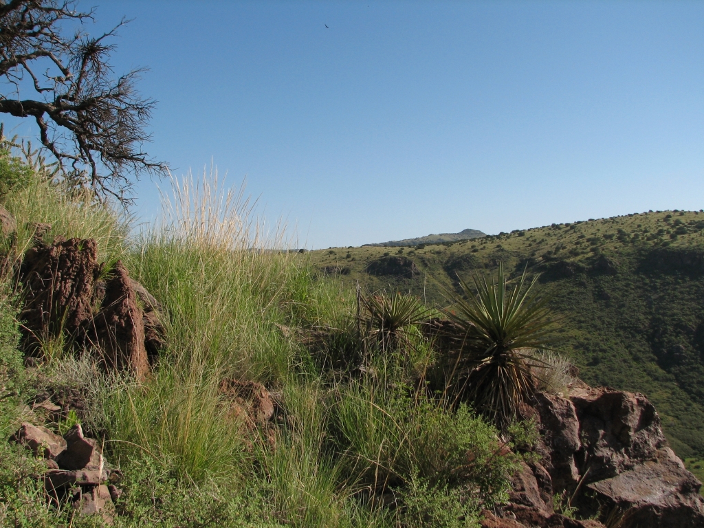 2009/07(July)/BuffaloTrailsScoutRanch/1024x768_vista at state park2.JPG